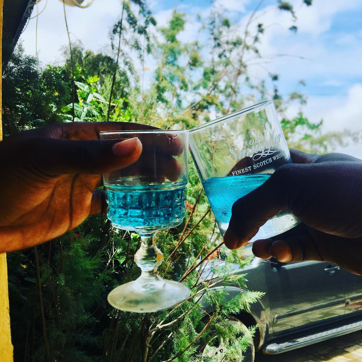 Outdoor scenery with glasses